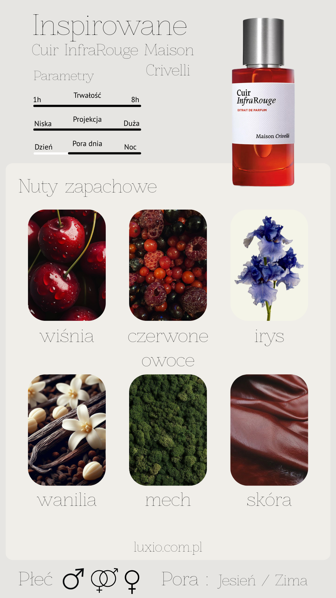 French Avenue Chaos Extrait 100 ml